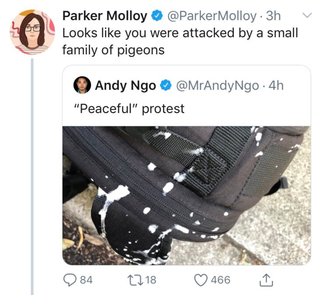 Screen Shot 2019-06-30 at 9.38.02 AM.png